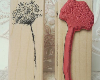 Lacey -  Queen Anne's Lace rubber stamp from oldislandstamps