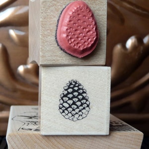 Tiny Pinecone rubber stamp from oldislandstamps