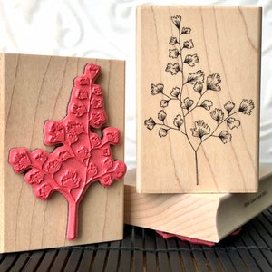 Tampon en caoutchouc Maidenhair Fern de oldislandstamps