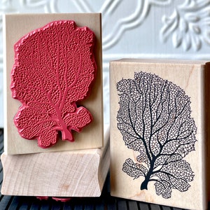 Lacey Sea Fan coral rubber stamp from oldislandstamps image 1