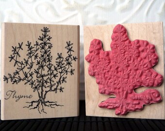 Thyme herb plant rubber stamp from oldislandstamps