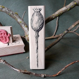Tampon en caoutchouc de cosse de pavot d'oldislandstamps