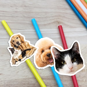 Custom Pet Photo Straws, Birthday Party Decorations, Pet Face Straws, Drink Straws, Funny Cup Accessories, Dog Face on Straw, Pet Lover Gift
