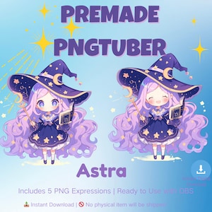 PNGTuber Model Chibi Magical Girl Kawaii Anime Vtuber Asset Premade Twitch OBS Streaming Overlay Veadotube Veadomini  Instant Download