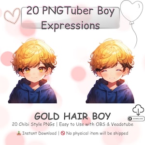 Chibi Boy PNGTuber Model Kawaii Anime Avatar 20 Expressions for Streaming OBS Twitch Discord Premade Vtuber Asset Instant Download
