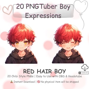 Chibi Boy PNGTuber Model Kawaii Anime Avatar 20 Expressions for Streaming OBS Twitch Discord Premade Vtuber Asset Instant Download