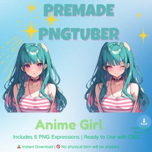 PNGTuber Model Chibi Magical Girl Kawaii Anime Vtuber Asset Premade Twitch OBS Streaming Overlay Veadotube Veadomini  Instant Download