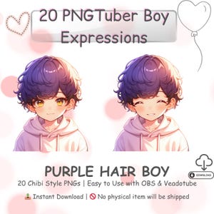 Chibi Boy PNGTuber Model Kawaii Anime Avatar 20 Expressions for Streaming OBS Twitch Discord Premade Vtuber Asset Instant Download