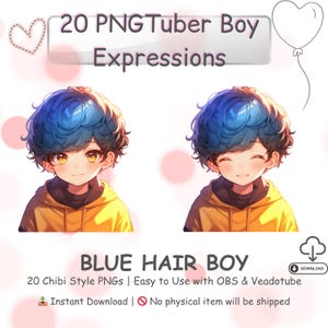 Chibi Boy PNGTuber Model Kawaii Anime Avatar 20 Expressions for Streaming OBS Twitch Discord Premade Vtuber Asset Instant Download