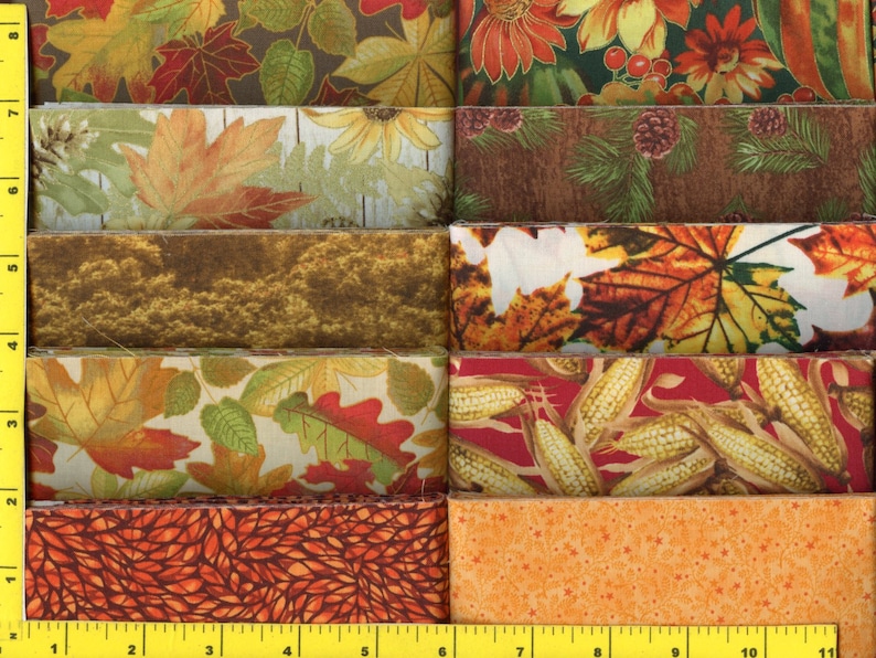 Autumn Harvest Jelly Roll 40 2 1/2 inch Strips New | Etsy
