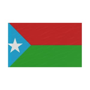Balochistan Flag Art Print, New Country&#39;s Flag, National Pride Wall Art, Gift for Patriotism, Travel Enthusiast