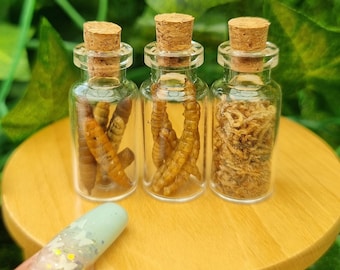 Miniature apothecary jars 1:12 Dolls house Miniature specimen jars- creepy crawlies- potion ingredients- Halloween Dollhouse