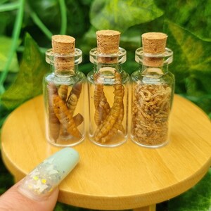 May include: Three small glass bottles with cork stoppers, each filled with different dried insects. The bottles are arranged on a small wooden table with a light wood finish. The table has a single leg and is sitting on a green surface.