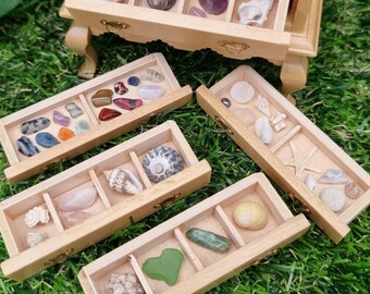Dollhouse Specimen Chest – 1:12 Miniature Display Curio Cabinet with Shells & Minerals