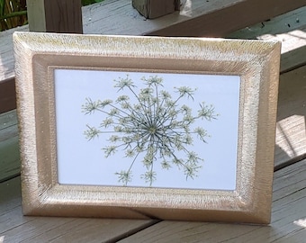 Pressed Queen Anne's Lace Art: Gold Hammered Frame, Wildflower Picture
