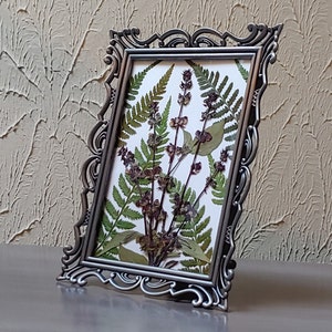Pressed Real Fern Botanical Art/Pressed Herbal Art Framed/Tabletop Framed Pressed Ferns/Fern Botanical Picture Art/Herbal Art/Gift For Her