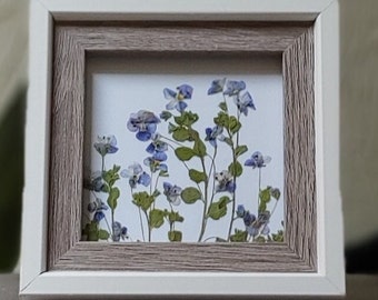 Pressed Wildflower Art: Framed Botanical Picture, Blue Floral Decor