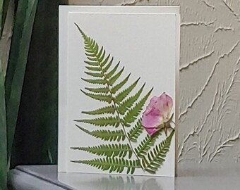 Real Pressed Green Fern Blank Note Card/Garden Floral Blank Card/Botanical Blank Card/Fern Blank Card/Card And Envelope/Every Day FloralCard