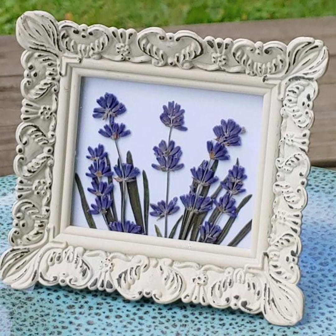 Pressed LAVENDER Framed Art/tabletop Framed Floral/lavender Picture ...