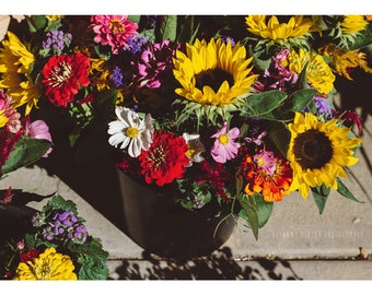 Bouquet Rose Impression 8 X 12 Photographie De Nature Morte