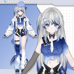 Customizable Live2D Premade Vtuber | Editable & Rigging | Customized
