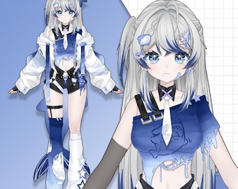 Vtuber Live2D prefabricado personalizable / Editable y con rigging / Personalizado