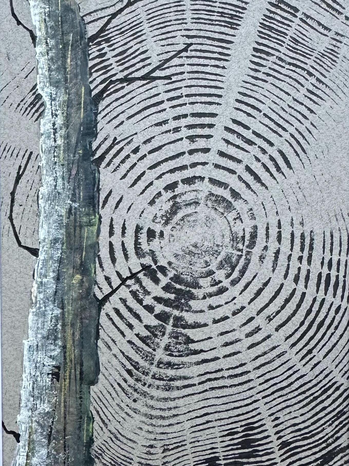 Tree Stump Rings Mural Original Tree Ring Art, Arborist, Forestry, Tree Rounds, Tree Stump ...