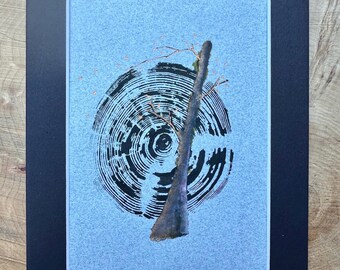 TREE RING ART | Original Hand Pressed Mixed Media Print from Real Tree Stumps | Nature Decor