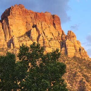 Zion National Park