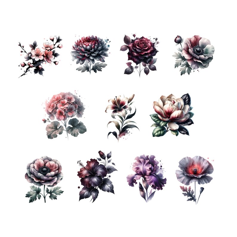 May include: Watercolor illustrations of various flowers, including roses, poppies, and irises, in shades of pink, purple, and red. Each flower is depicted with detailed petals and green foliage, set against a white background.