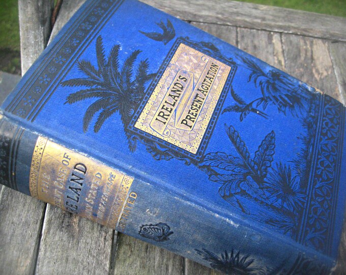 Antique Irish Book Ireland's Present Agitation 1882 Etsy