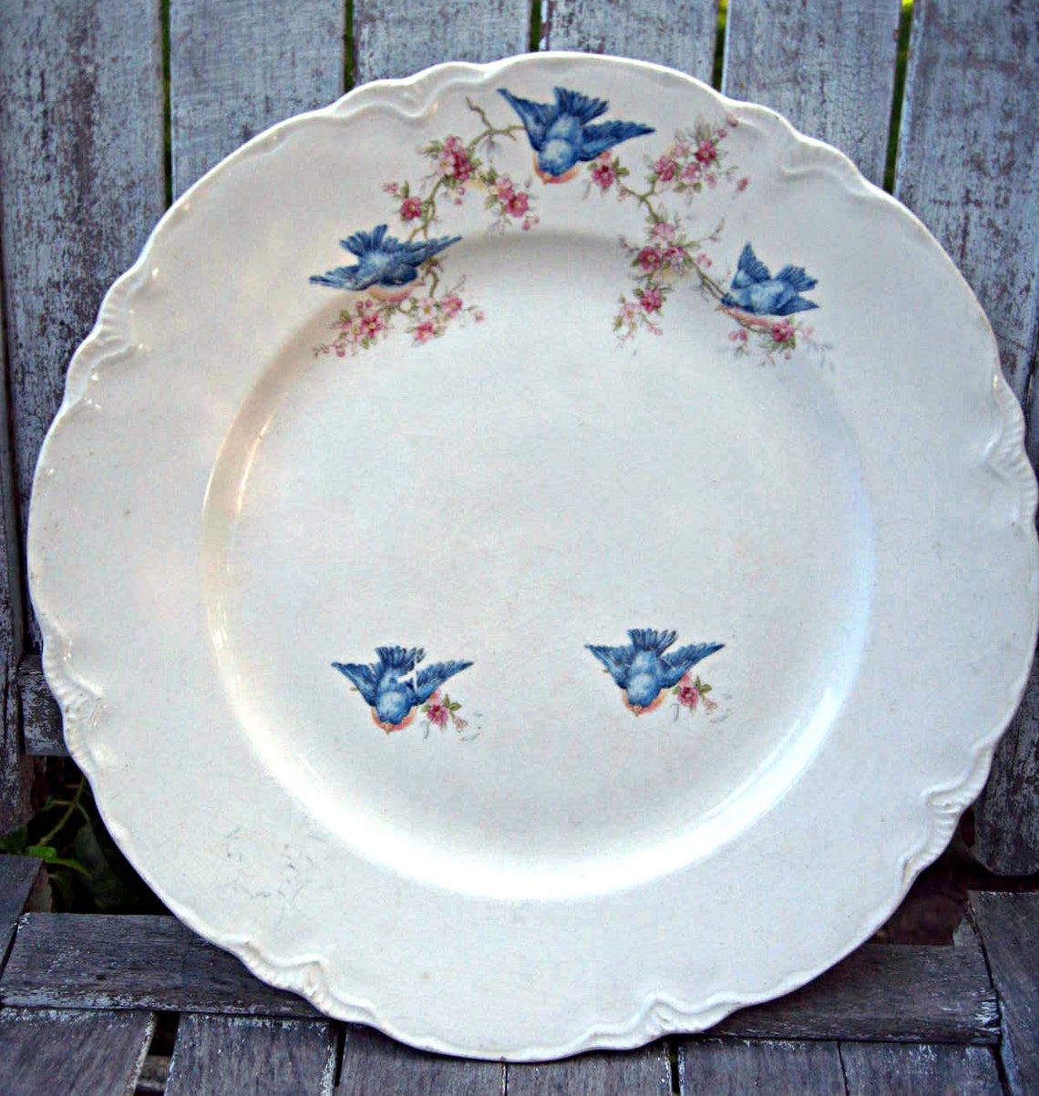 Vintage bluebird plate highly collectible crazing but Etsy