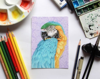 Blue and Yellow Macaw Postcard Print