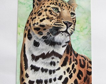 Amur Leopard Postcard Print