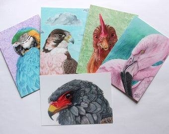 5 Pack of BIRD Postcard Prints