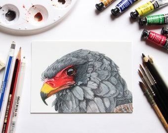 Bateleur Eagle Postcard Print