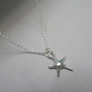 May include: A silver starfish pendant necklace. The pendant is a stylized starfish with five points, suspended from a delicate silver chain. The necklace is displayed against a soft gray background.