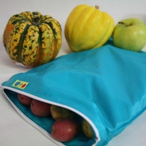 Large Reusable bag Insulated freezer or travel bag XL Gallon sz image 1
