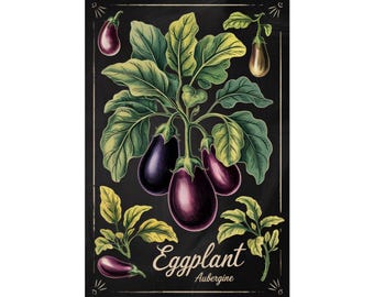 Vintage Eggplant Wall Art Poster, Botanical Decor, Kitchen Prints, Garden Lover Gift, Home Decoration
