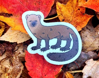 Medieval Fisher Cat Sticker | 2.5 Inch Waterproof Dishwasher Safe Matte Vinyl Stickers