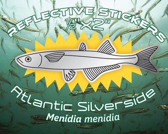 Reflective Silverside Fish Stickers: Road Safety for Bikes & Helmets
