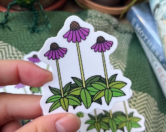 Coneflower Flower Sticker | Medieval Botanical Sticker | 2.5 Inch Waterproof Dishwasher Safe Matte Vinyl Stickers