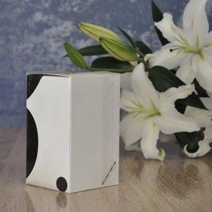 B. BALENCIAGA Eau de Parfum 50ml, Fuori produzione, Molto raro, Nuovo immagine 5