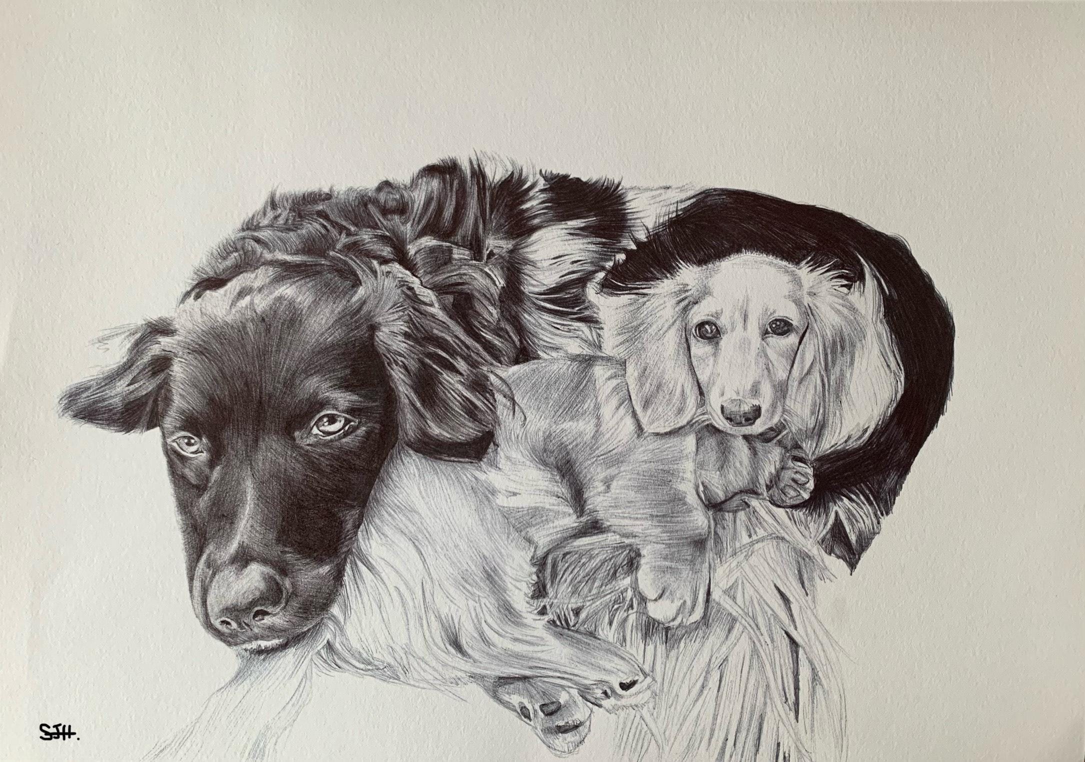 Customised Drawings Personalized/customised Dog Drawing. Custom Pet Drawing, Hand Drawn ...