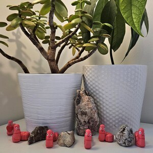 May include: Two potted plants, a jade plant and an avocado plant, are on a white surface. Small pink worm-like figurines and rocks are arranged in front of the plants. The pots are white with textured surfaces.