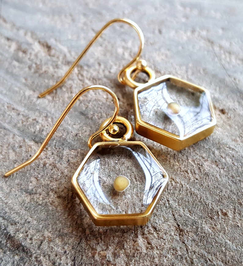 Mustard Seed Earrings Religious Faith Jewelry Nature Etsy