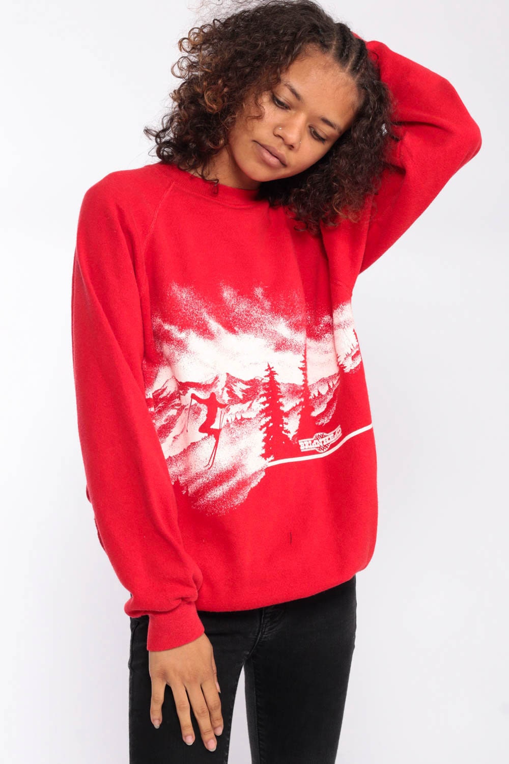 embroidered ski sweatshirt