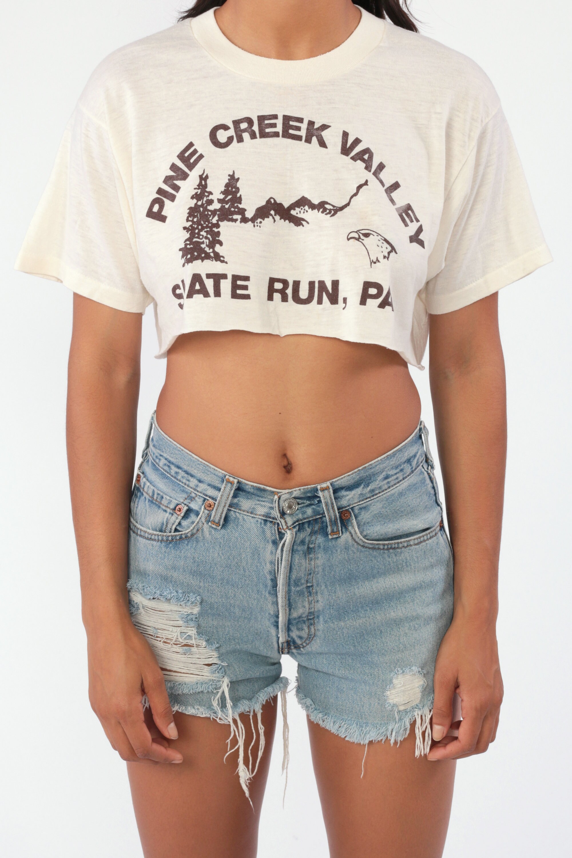 Pine Creek Valley Shirt 80s Pennsylvania Crop Top PA Eagle Tree Retro Tee Cropped T Shirt