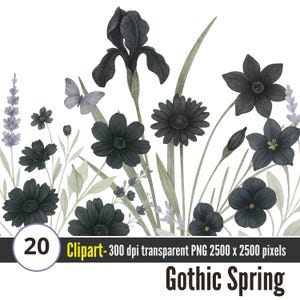 Black Gothic Floral Clipart Bundle - Watercolor Dark Flowers PNG with Soft Green Leaves, Transparent Background gothic spring