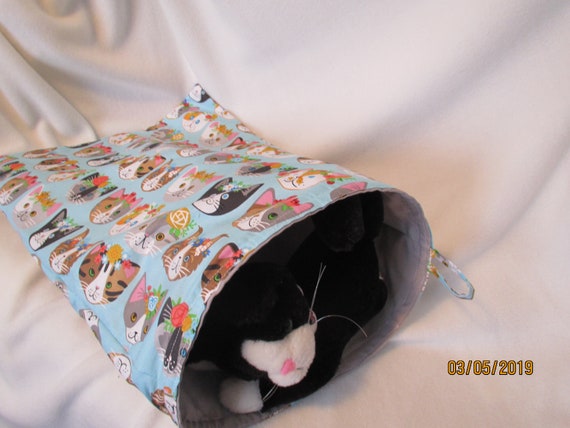 cat crinkle bag